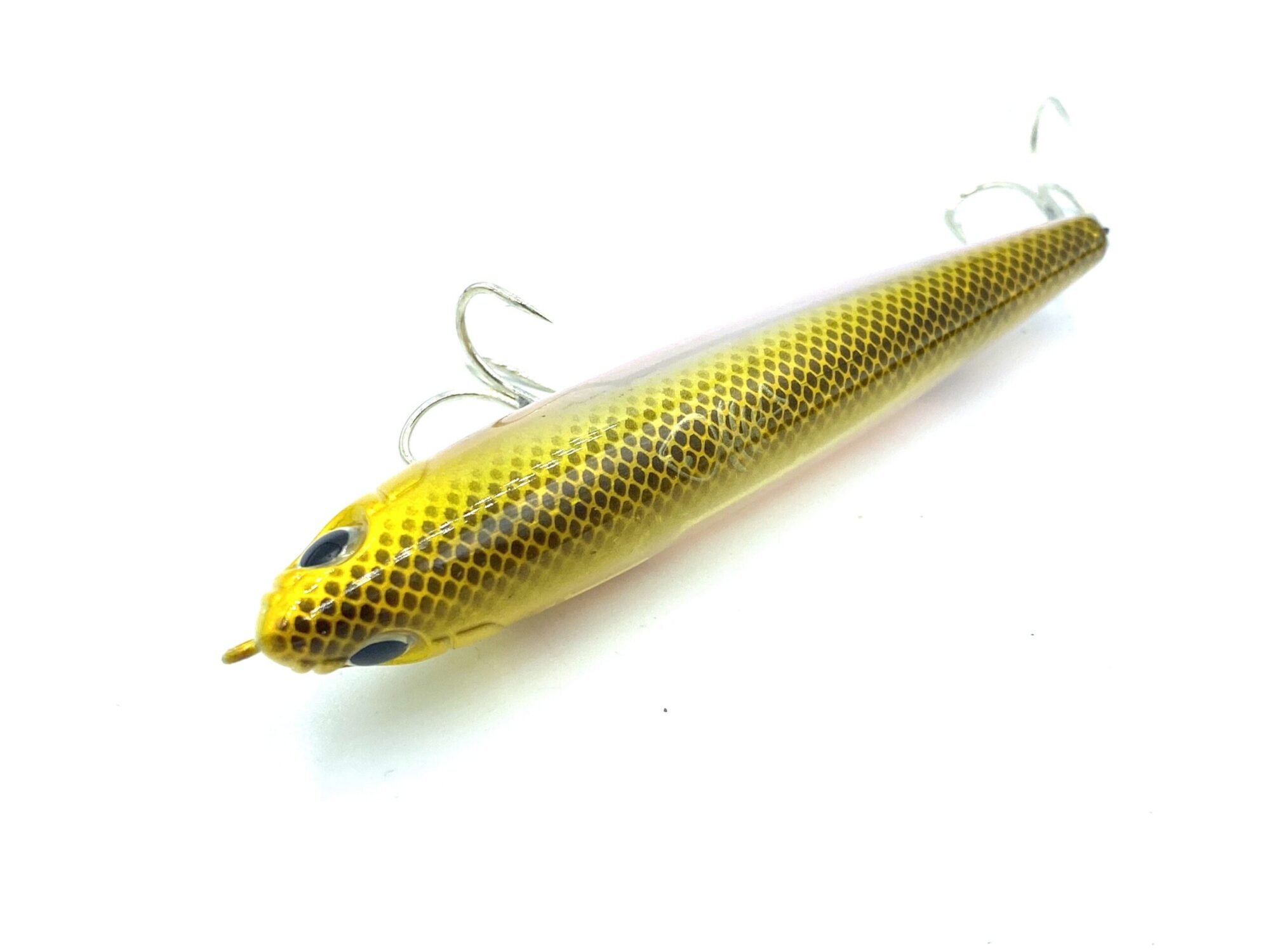 SPANISH LURES SPARROW