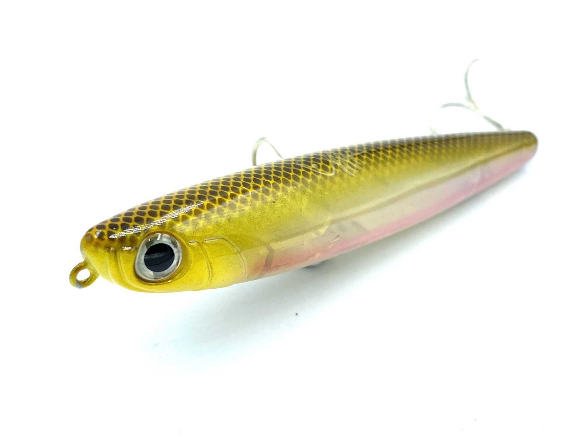 SPANISH LURES SPARROW