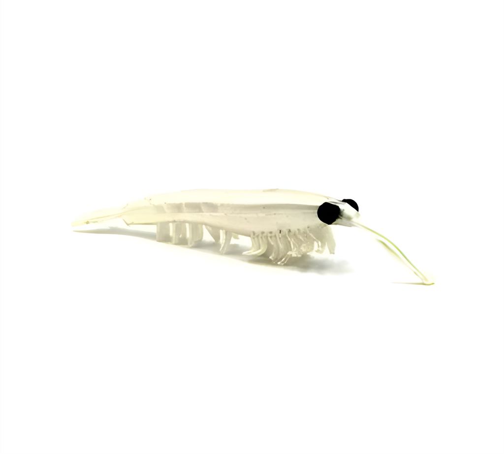 NIKKO OKIAMI SHRIMP