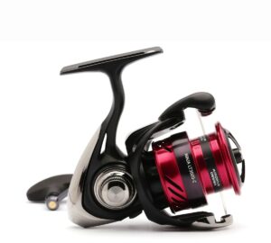 Daiwa ninja 23 lt