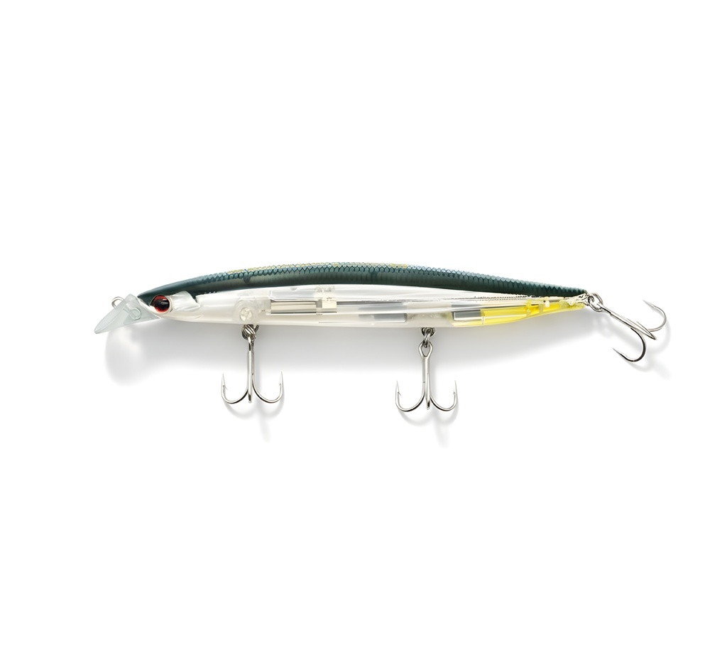 Shoreline Shiner-Z Vertice R