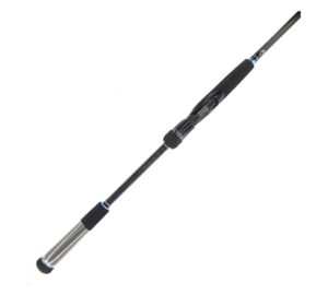 daiwa caldia seabass