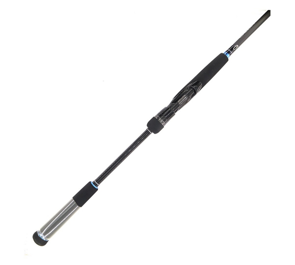 daiwa caldia seabass