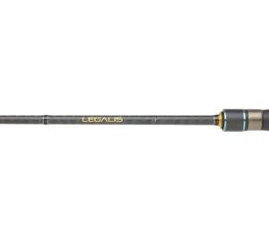NUEVA DAIWA LEGALIS SQUID 2025
